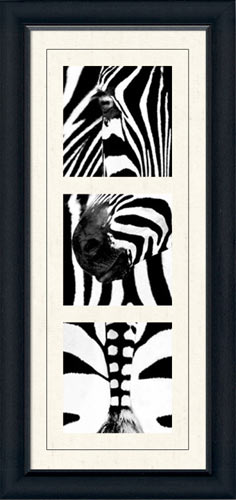 Zebra Tryptich